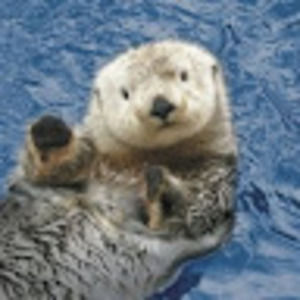 Meet your Posher, Vicki